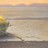 Novembre - immagine 8