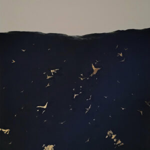 Ma chi ha insegnato il volo ai gabbiani